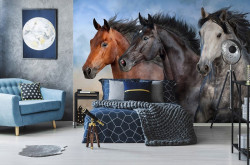 Horses galloping wild steeds wall mural - 14137