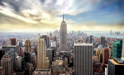 new york skyline mural - 2317