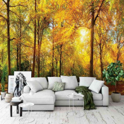 Sunny day in a beautiful forest wall mural - 13460