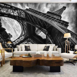 Eiffel tower wide angle shot image - 12672