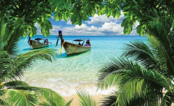Fishermen boats on a tropical beach - 225