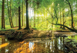 Forest lake scene wall murral - 10513