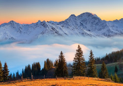 Landscape of snowy mountain forests Wall Mural - 14600
