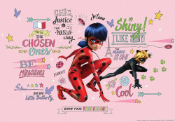miraculous ladybug and cat noir wall decor - 13655