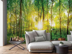 Morning sunlight in the forest wallpaper - 13461
