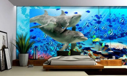 Sea life, underwater shot of dolphins and fish - 072