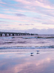 North sea quay wallpaper - 13054A