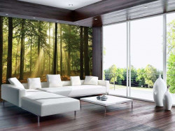 Sunbeams in the forest wall mural - 10331
