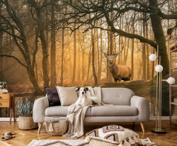 Wall Mural - 14520