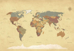 A map of the worlds wall mural - 10973