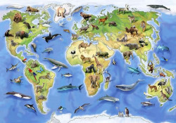 Animal world map for children, kids room wall mural - 12844