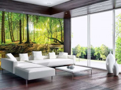 Forest lake scene wall murral - 10513