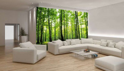 Green woods in the spring Wall Mural - 186