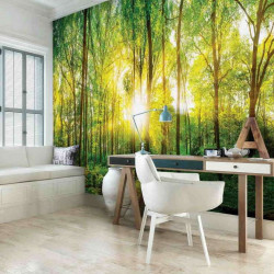 Morning sunlight in the forest wallpaper - 13461
