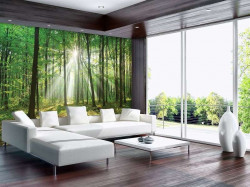 Sunbeams breaking through wallpaper - 10329