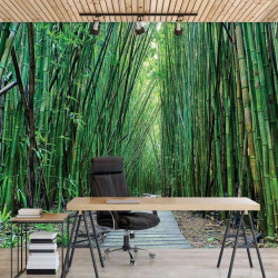 Bamboo zen garden walk wall mural - 12632