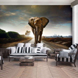 Elephant, wall posters of wild animals - 12616