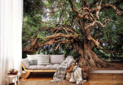 Magical old tree wall mural - 13011