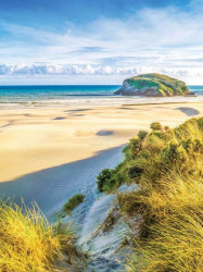 Sand dunes on a sunny beach mural - 10248A