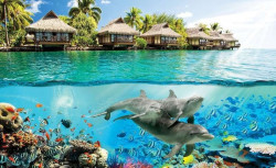 Underwater life coral reef wall mural - 3193