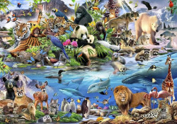 Animals of all continents, children's room wallpaper - 12843