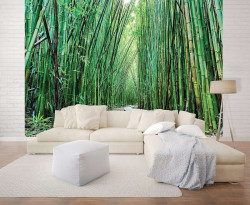 Bamboo zen garden walk wall mural - 12632