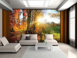 Colorful autumn forest at sunrise wallpaper - 12108