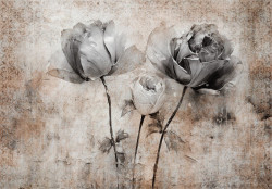 Floral composition with grey and white roses Wall Mural - 14877