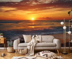 Inspirational sunset on the beach Wall Mural - 14771