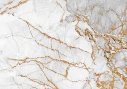 Marble with golden embellishment wall mural - 13668