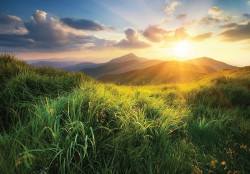Meadows and mountains Wall Mural - 14621