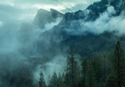 Mountains and forest Wall Mural - 14587