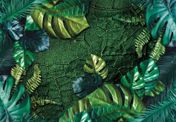 Nature leaves dark green monsteras wall mural - 14100