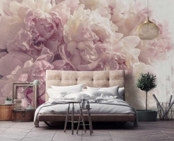 Peonies wall mural - 13818