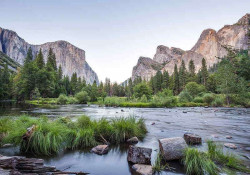 River, forest and mountains, nature wall mural - 11815