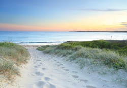 Stunning Ocean Beach Wall Mural - 14535