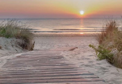 Sunset on a beach wall mural - 13048