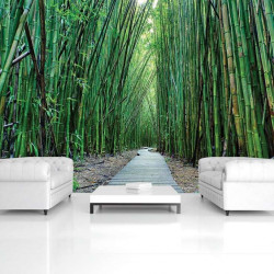 Bamboo zen garden walk wall mural - 12632