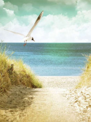 Beach sand dune wall mural - 11595A