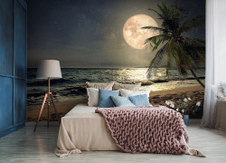 Full moon on the beach wall mural - 13999