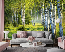 Nature Birch Forest Trees Grass wall mural - 14174