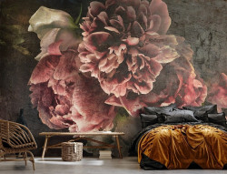 Peonies on concrete Wall Mural - 14568