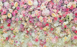 Thousand flowers wallpaper - 3102