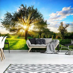 Tree in a summer garden wall mural - 13015