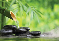 Zen wall decal. relaxing photowall -11407