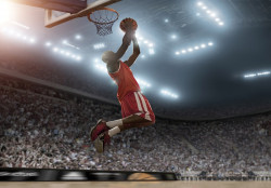 Basketball player Wall Mural - 14769