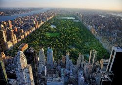 Central Park in New York Wall Mural - 14616