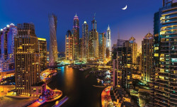 Dubai Skyscrapes at Night wall mural - 1672