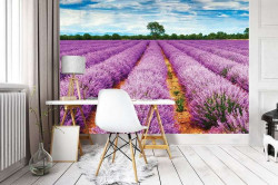 Lavender field wallpaper - 11039