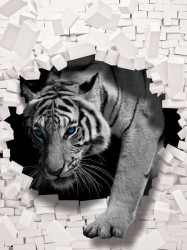 Tiger breaking through brick wall - 10400A